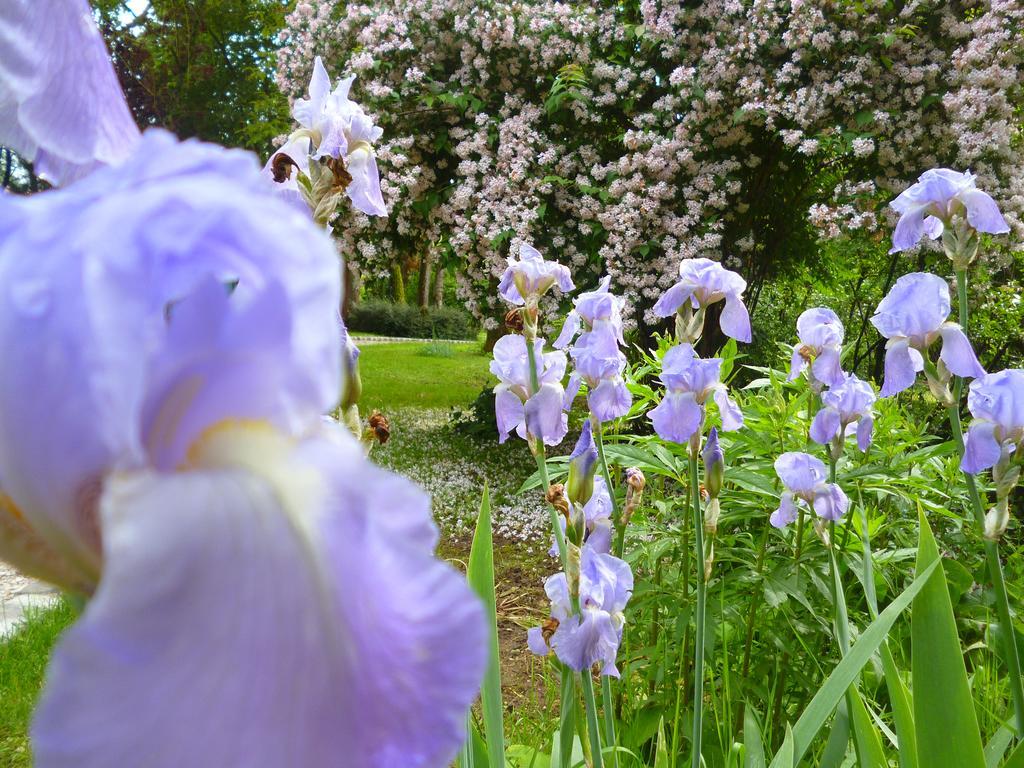 Le Gite De Laurence Villa Sainte-Liviere ภายนอก รูปภาพ